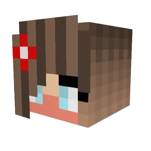 Ninjaextreme007 Minecraft avatar head, 3D render