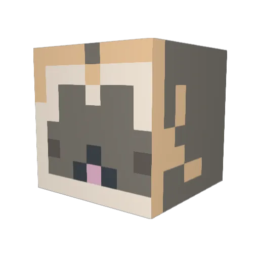 Ninjagirl811 Minecraft avatar head, 3D render