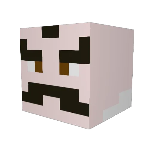 NinjagoGuy123 Minecraft avatar head, 3D render