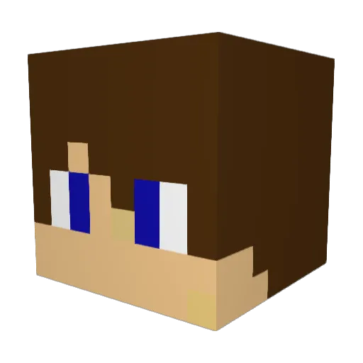 Ninjaguy100 Minecraft avatar head, 3D render