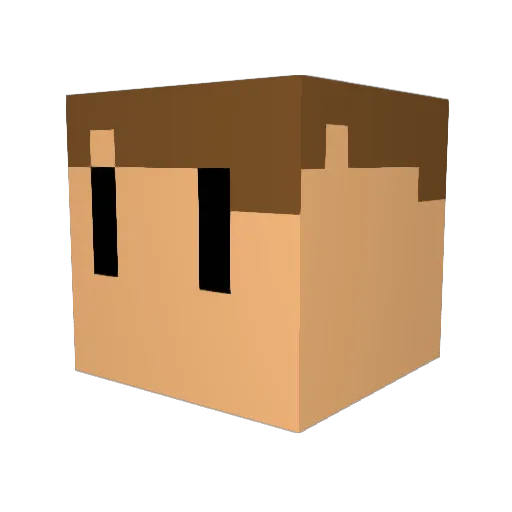 Ninjaguy8453 Minecraft avatar head, 3D render