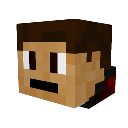 Ninjaguy_MC Minecraft avatar head, 3D render
