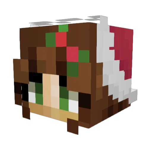Ninjahuhn7 Minecraft avatar head, 3D render