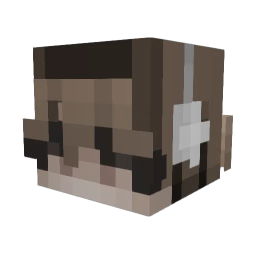 Ninjainyoface Minecraft avatar head, 3D render