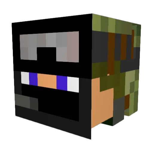 Ninjajake100 Minecraft avatar head, 3D render