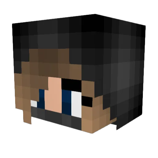 Ninjajen Minecraft avatar head, 3D render