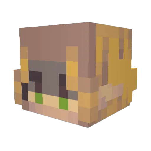 Ninjakd5005 Minecraft avatar head, 3D render