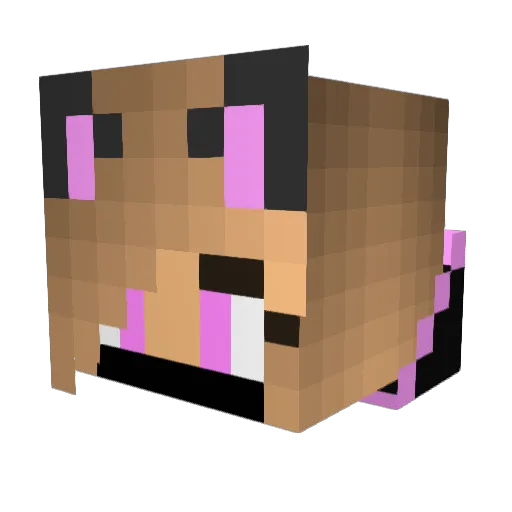 Ninjakitty2000 Minecraft avatar head, 3D render