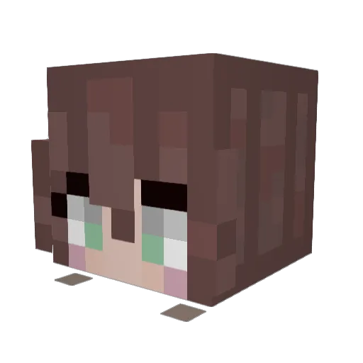 Ninjaline Minecraft avatar head, 3D render