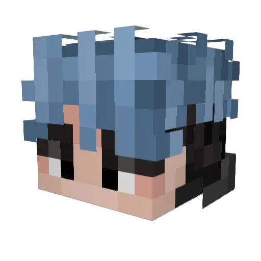 Ninjamaster05 Minecraft avatar head, 3D render