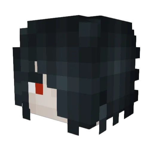Ninjamaster221 Minecraft avatar head, 3D render