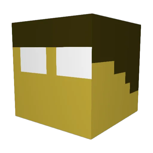 NinjanikStudios Minecraft avatar head, 3D render