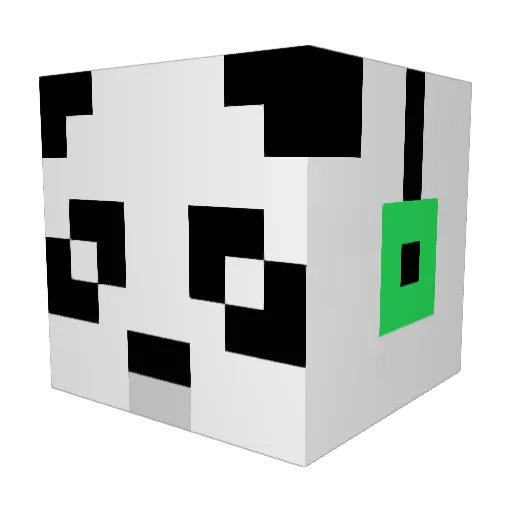 Ninjapanda0420 Minecraft avatar head, 3D render