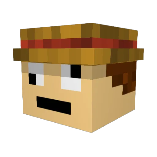 Ninjapig847 Minecraft avatar head, 3D render
