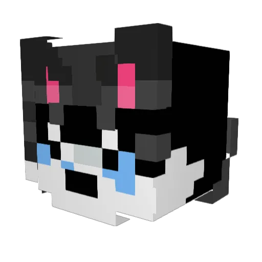 Ninjapirate8015 Minecraft avatar head, 3D render