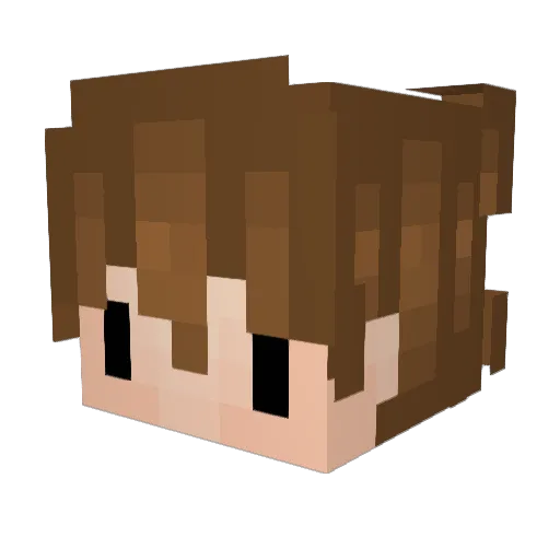 Ninjapool_ Minecraft avatar head, 3D render
