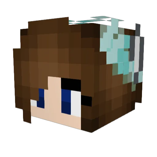 Ninjaprincess101 Minecraft avatar head, 3D render