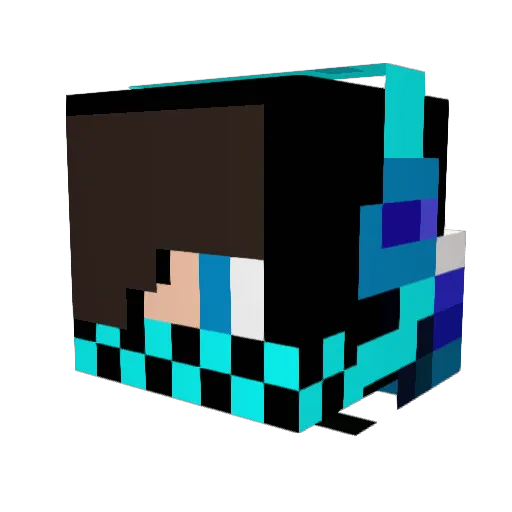 Ninjaradical Minecraft avatar head, 3D render