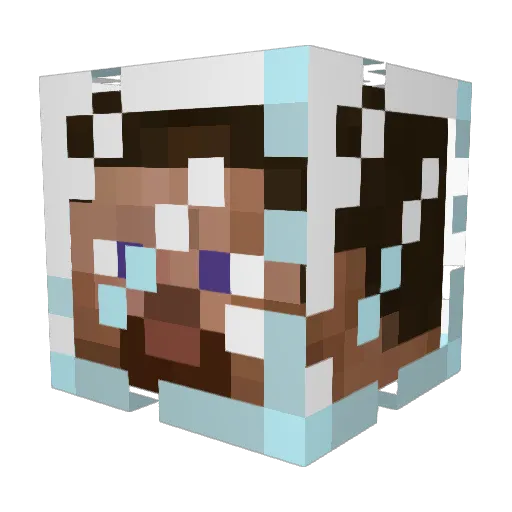 NinjasNoob Minecraft avatar head, 3D render