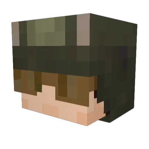 Ninjas_not_cold Minecraft avatar head, 3D render