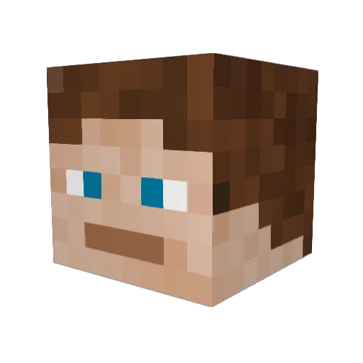 Ninjask_45 Minecraft avatar head, 3D render