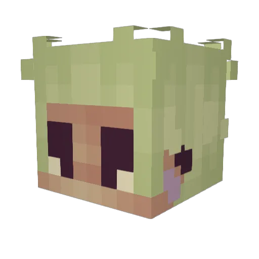 Ninjawarrioryee Minecraft avatar head, 3D render