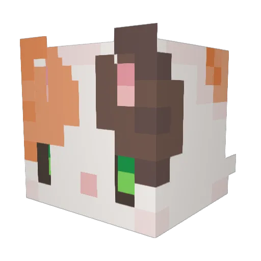 Ninjawzrd69 Minecraft avatar head, 3D render