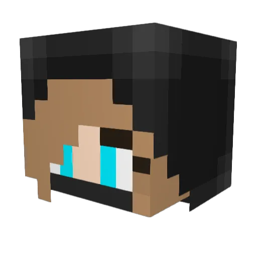 Ninjazett Minecraft avatar head, 3D render