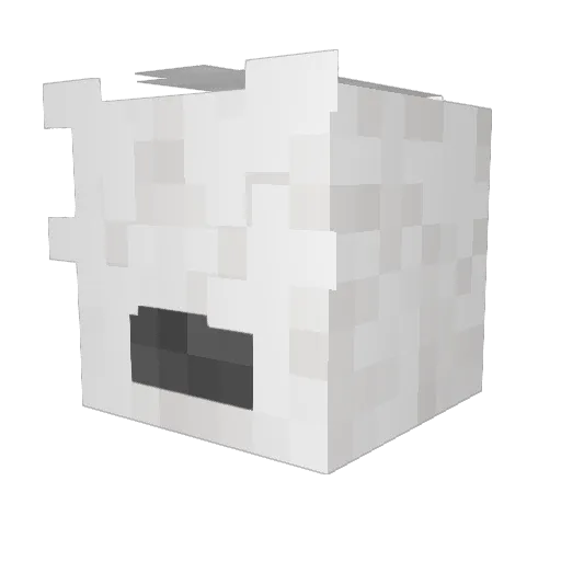 Ninjeong Minecraft avatar head, 3D render