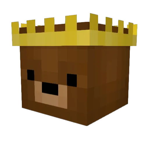 Ninjer_ Minecraft avatar head, 3D render