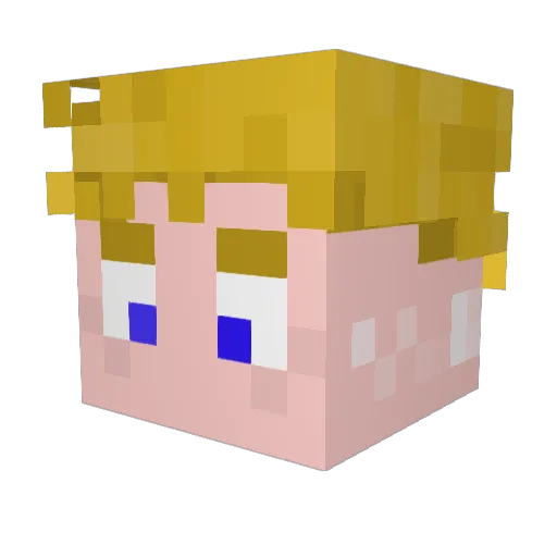 Ninjini01 Minecraft avatar head, 3D render