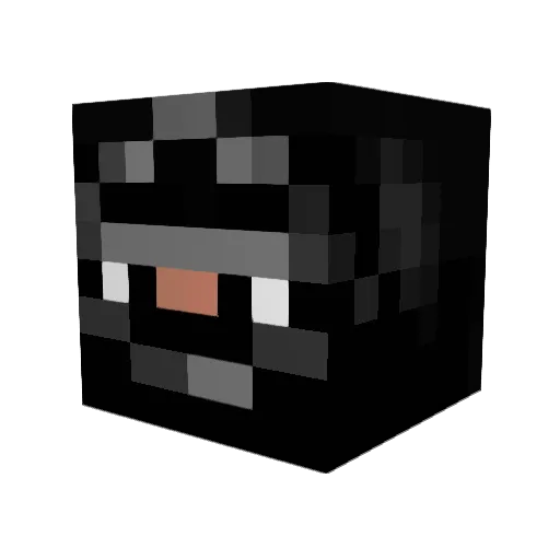 Ninjohn1 Minecraft avatar head, 3D render