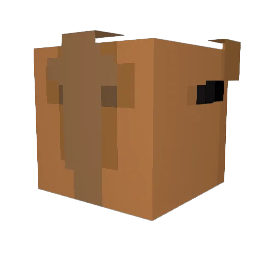Ninjukas Minecraft avatar head, 3D render
