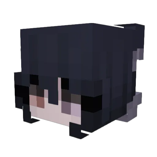Ninjutsu Minecraft avatar head, 3D render