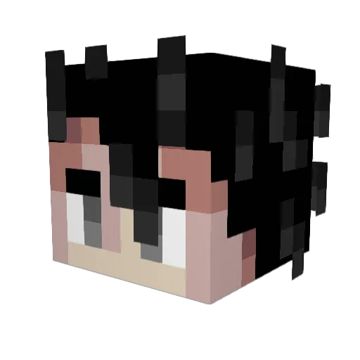 NinloxTTV Minecraft avatar head, 3D render