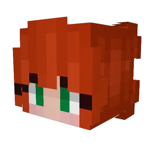 NinnaBR Minecraft avatar head, 3D render