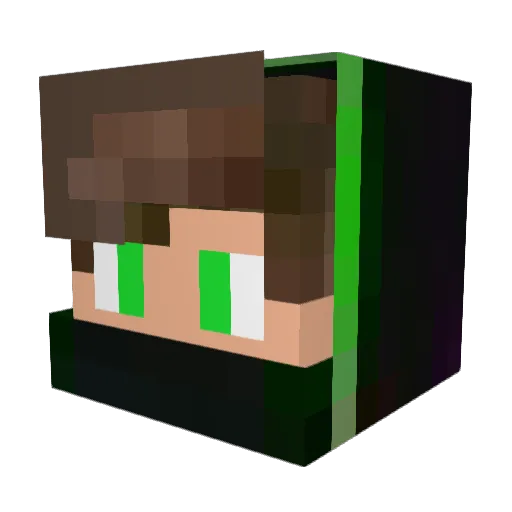 Ninner001 Minecraft avatar head, 3D render