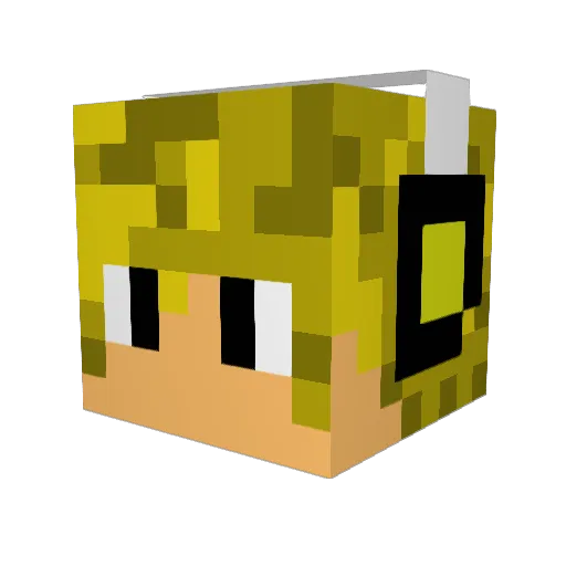 Ninnjaaa Minecraft avatar head, 3D render