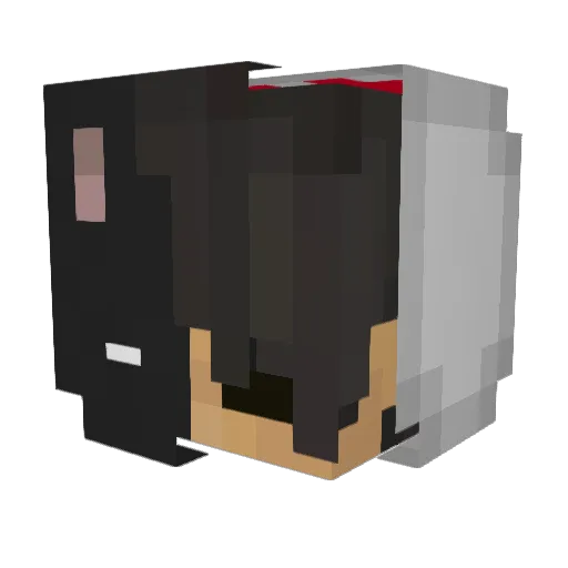 Ninnnn Minecraft avatar head, 3D render