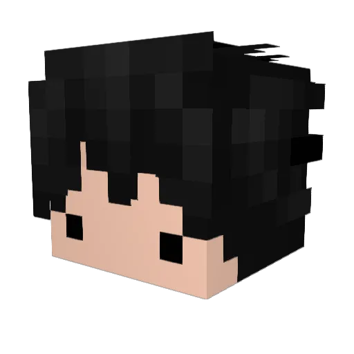 Nino628 Minecraft avatar head, 3D render