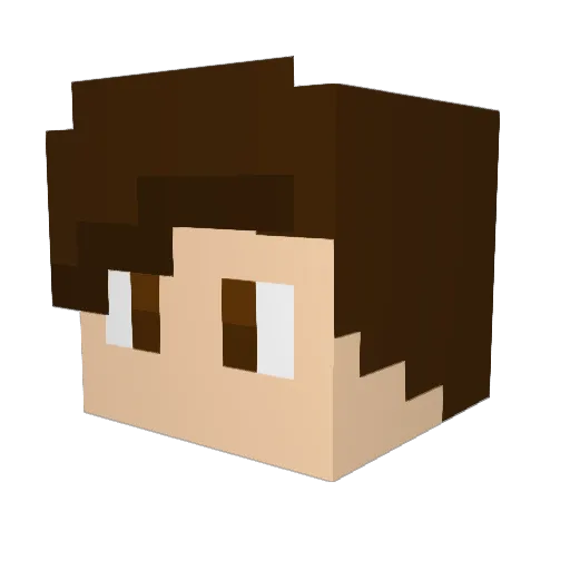 Ninobf Minecraft avatar head, 3D render