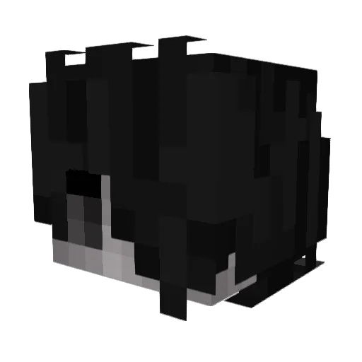 Minecraft-Avatar von Ninraeth: Kopf als 3D-Render