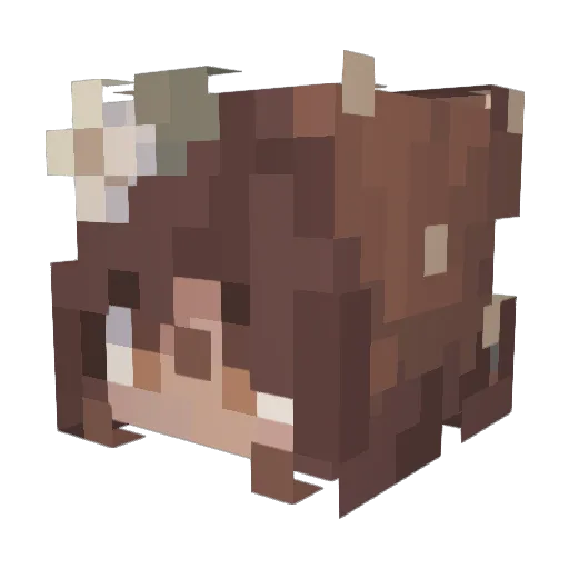 Ninschuu Minecraft avatar head, 3D render