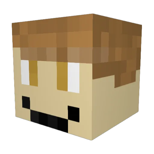 NintenFan Minecraft avatar head, 3D render