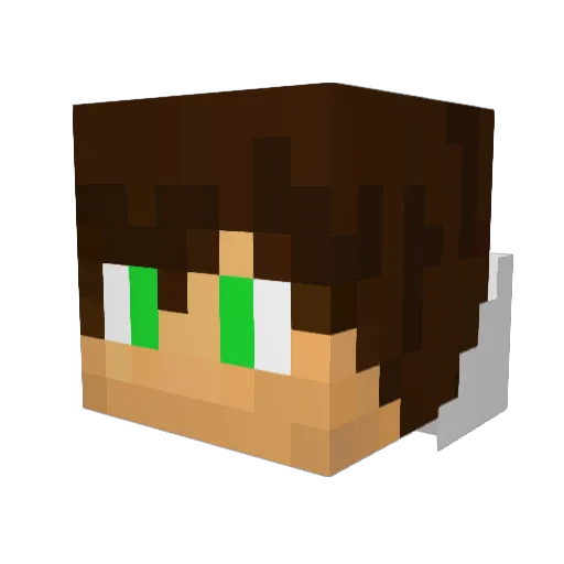 Nintendinho_BR Minecraft avatar head, 3D render