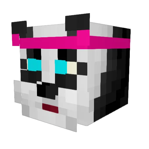 NinthBrother Minecraft avatar head, 3D render