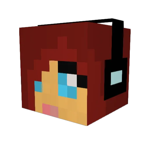 Ninthletter Minecraft avatar head, 3D render