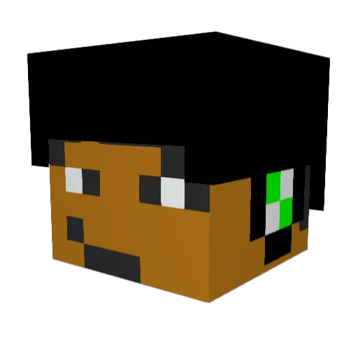 NintrendoBoyMC Minecraft avatar head, 3D render