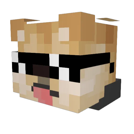 NinvisibleYT Minecraft avatar head, 3D render