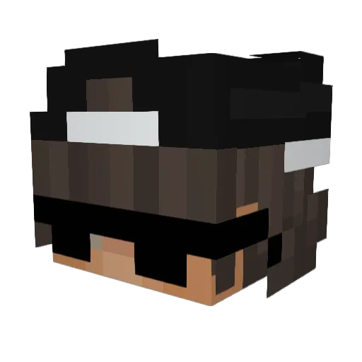 Ninxc Minecraft avatar head, 3D render